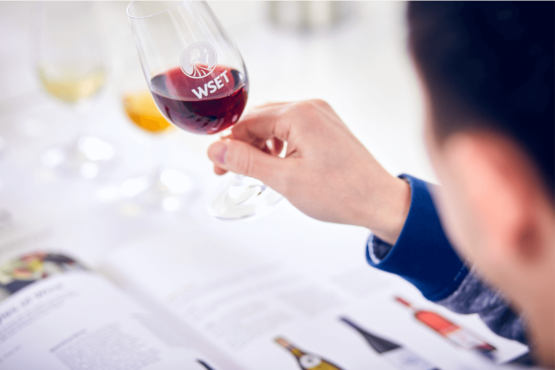 Kurs winiarskie wset level 2